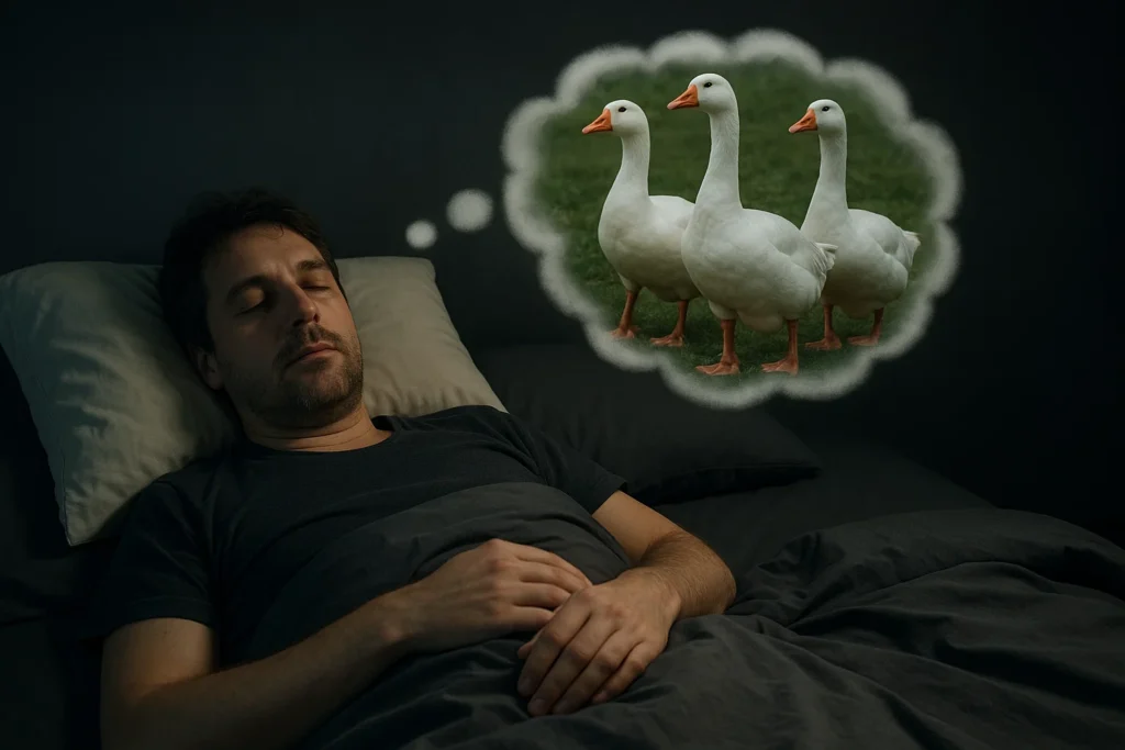 Dream About Geese
